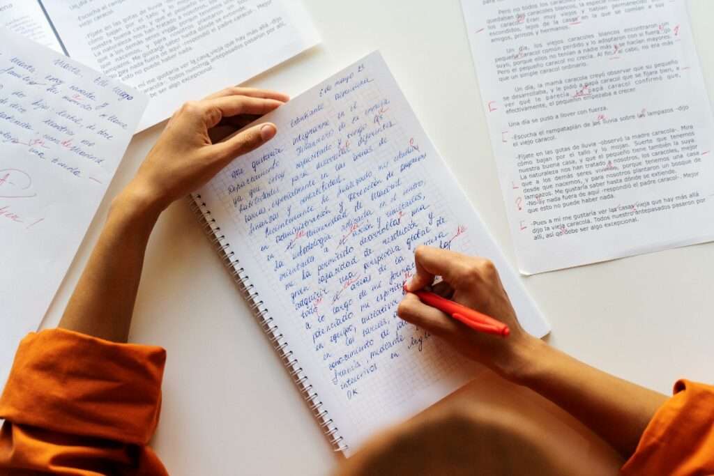 Essay Writing Assistance, study abroad consultants